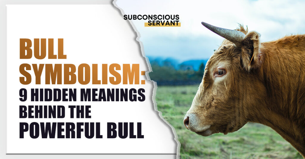 Bull Symbolism: 9 Hidden Meanings Behind the Powerful Bull